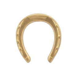 Brass Medium Horseshoe...