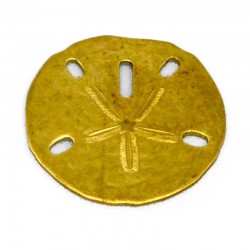 Medium Sand Dollar Brass Stamping