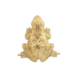 Large Frog Brass Stamping