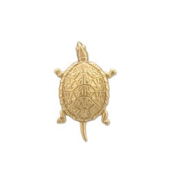 Large Box Turtle Brass...